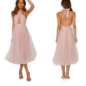 Hello Molly Blush Pink Tulle Fit Flare Dress Size S US 4 Wedding Guest Formal